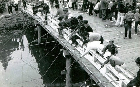 子どもの日に開催された高島城お堀での釣り大会