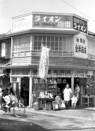 懐かしい看板が並ぶ金井商店〈行田市・昭和27年〉